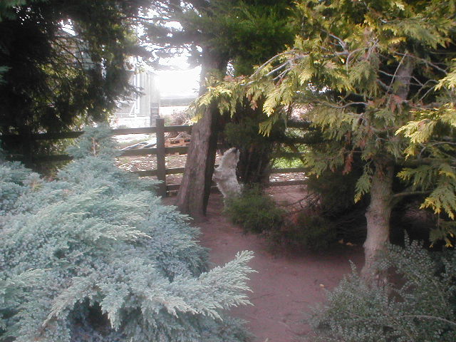 Enlarge Image