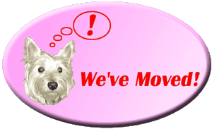 We've Moved!